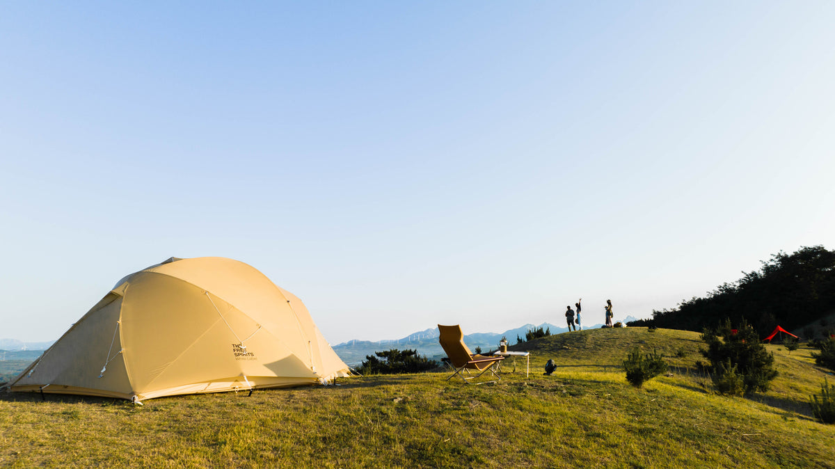 Skydome Pro