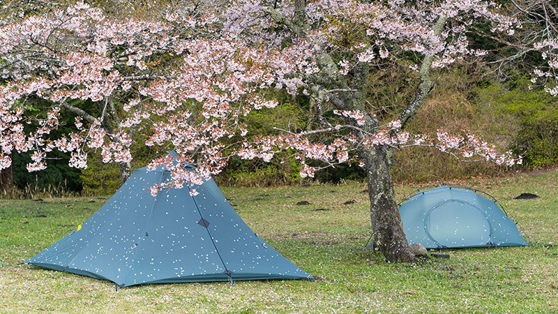 Pre Tents
